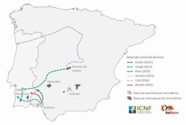 travelling lynxes iberlince map