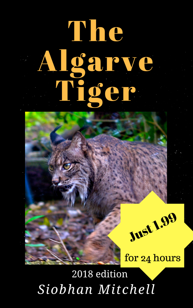 book cover promo.png